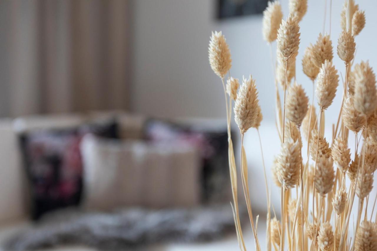 Vasko Luxurious Suites, Hiisi โรวานิเอมิ ภายนอก รูปภาพ